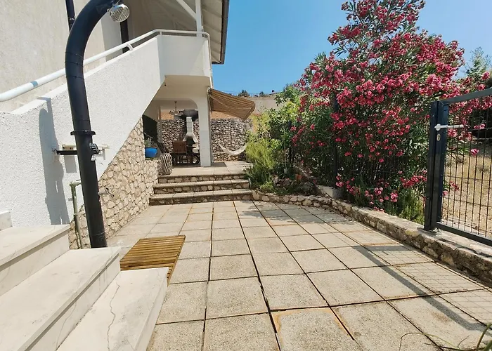Verbena Pinezići