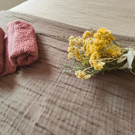 Verbena