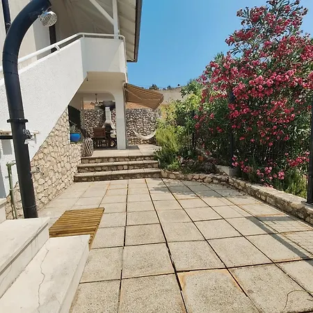 Verbena Pinezići