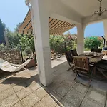 Verbena Pinezići